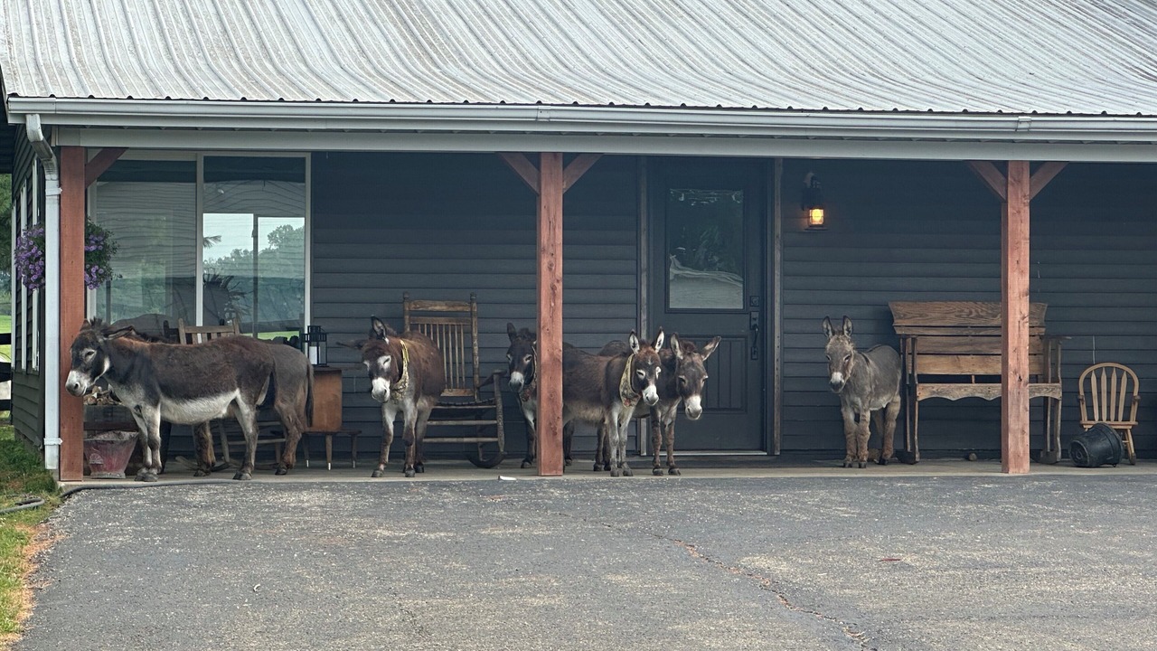 Photo of Outdoor in Heltonville