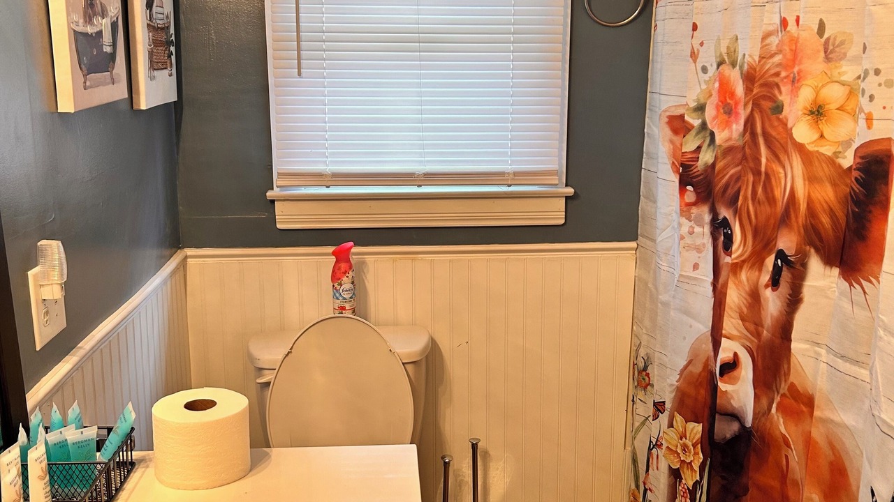 Photo of Bathroom in Millboro