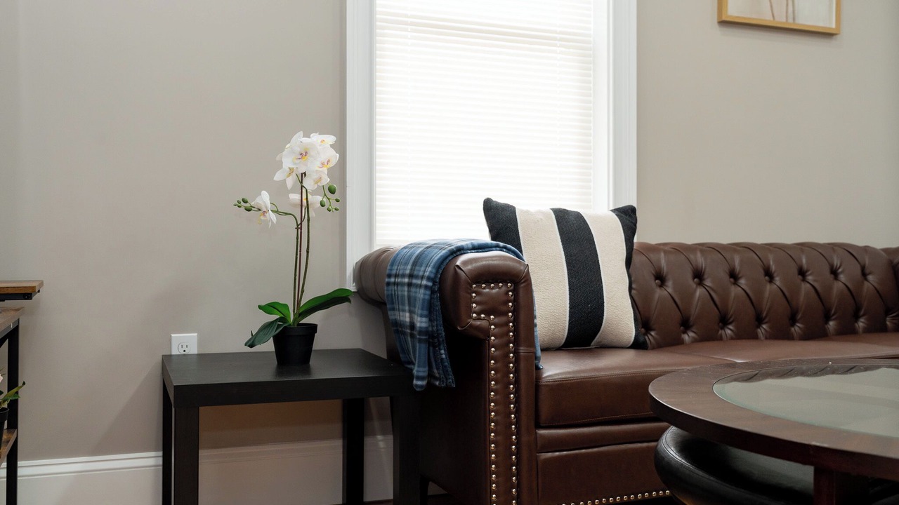 Photo of Livingroom in Codman Square