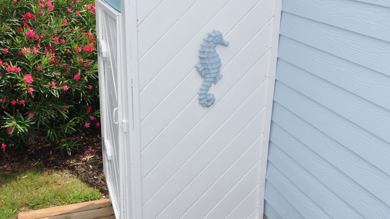 Photo of Outdoor in Croatan Beach