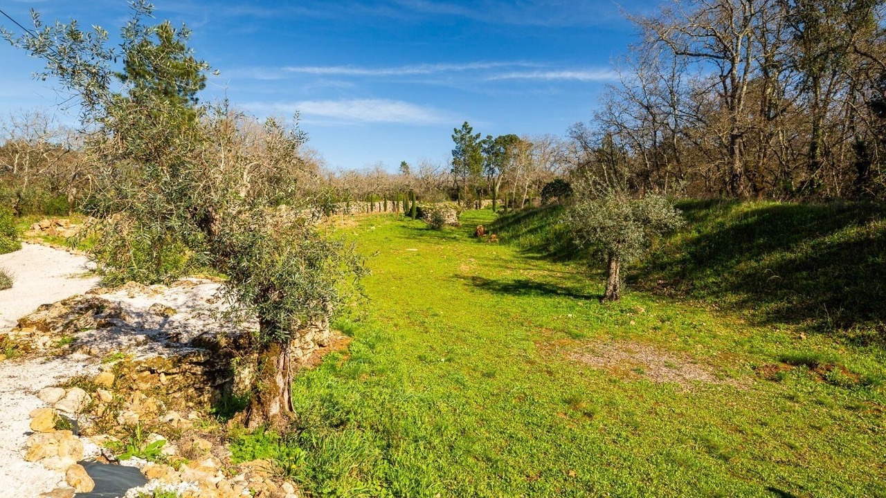 Photo of Others in Ferreira do Zezere