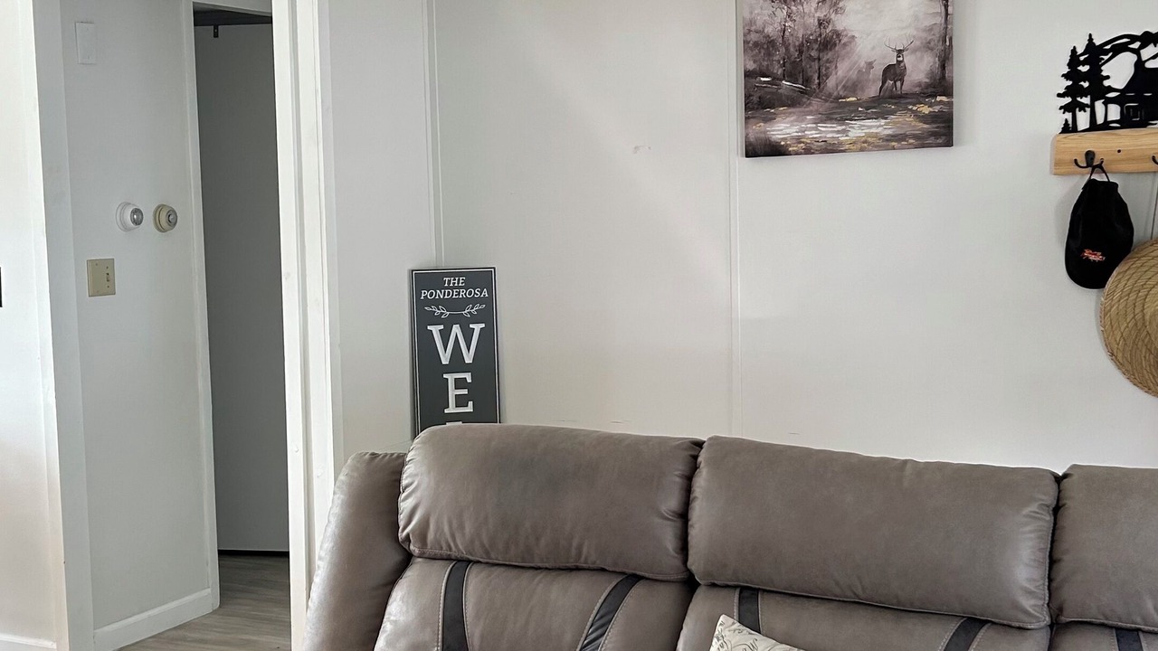Photo of Livingroom in Deer River