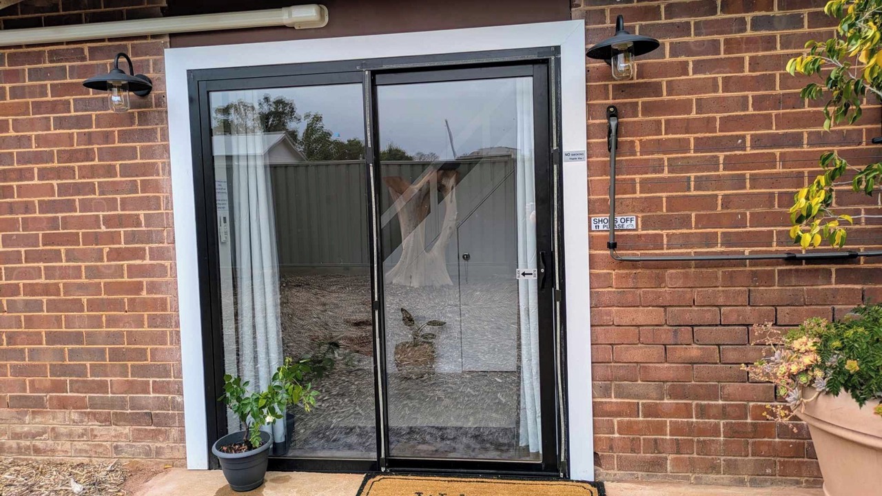 Photo of Outdoor in Griffith