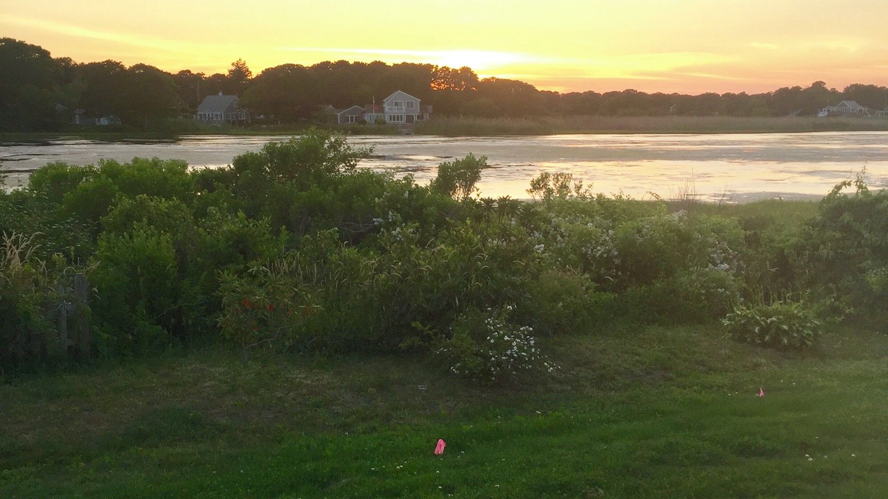 Photo of Others in Bass River