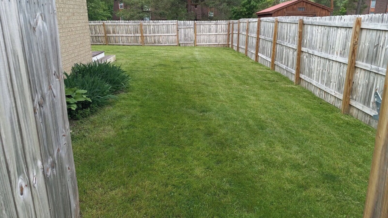 Photo of Outdoor in Orchard Park