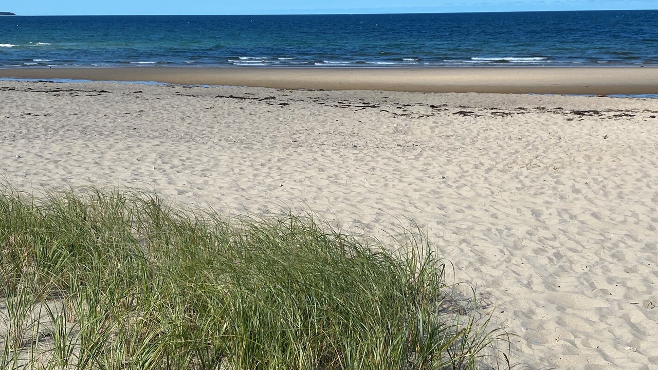 Photo of Others in Sagamore Beach