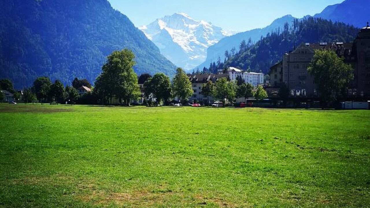 Photo of Others in Goldiwil