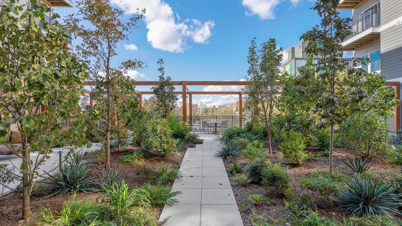 Photo of Outdoor in East Somerville