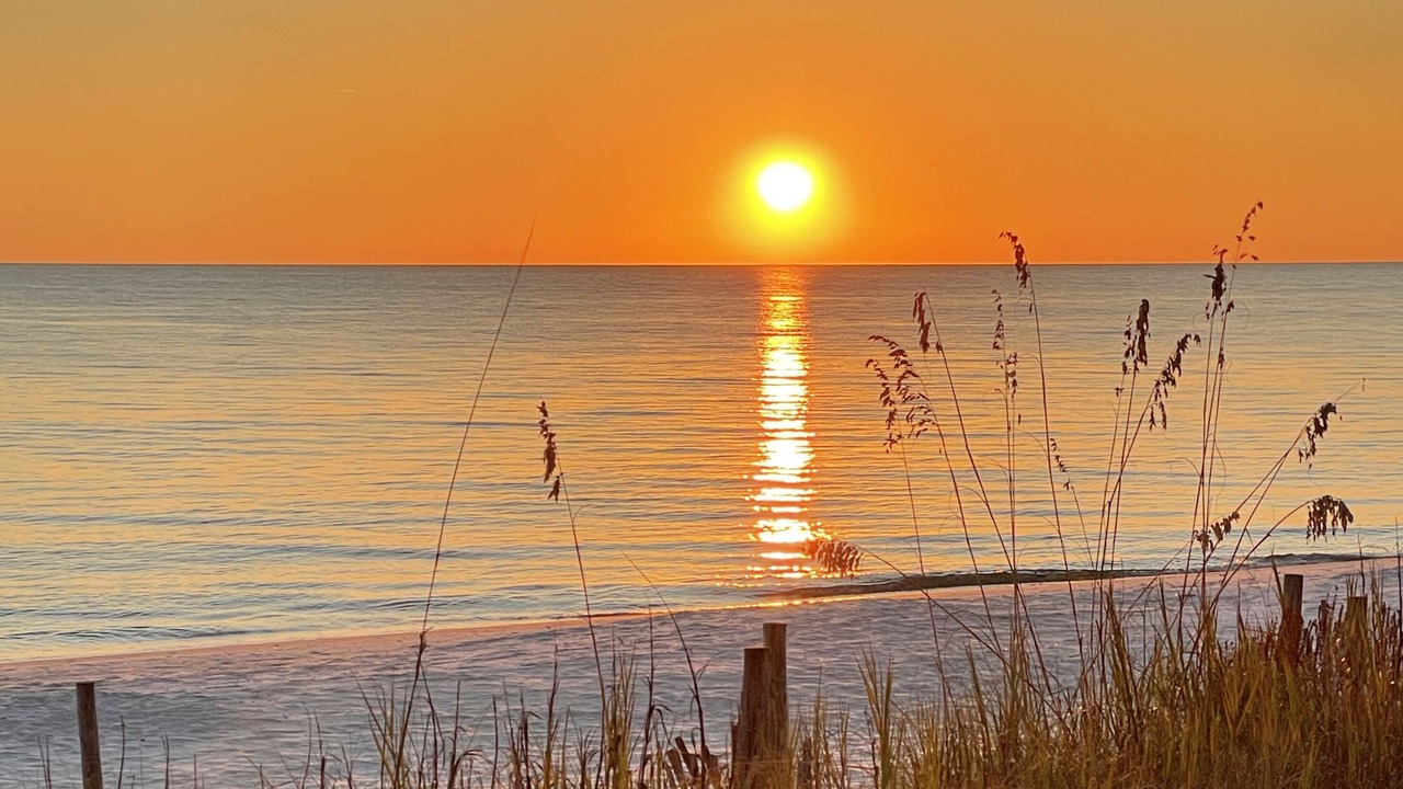 Photo of Others in Mexico Beach