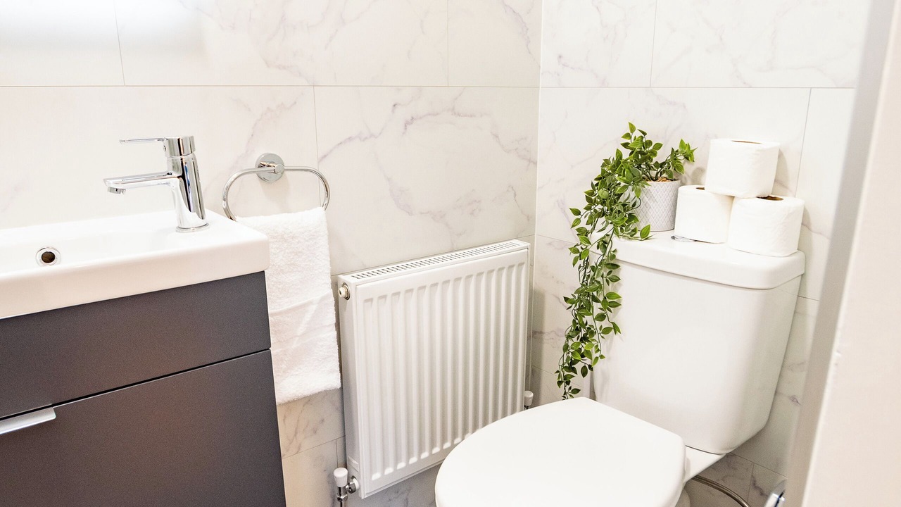 Photo of Bathroom in Roscoe