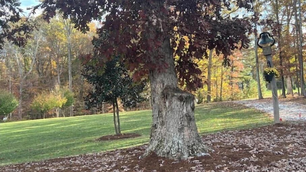Photo of Outdoor in Piney Mountain