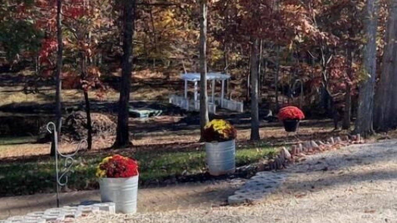 Photo of Outdoor in Piney Mountain
