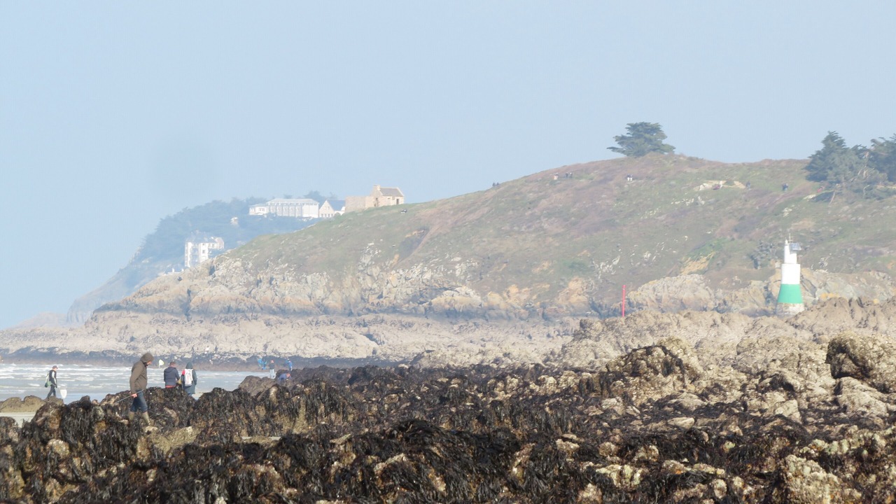 Photo of Others in Planguenoual