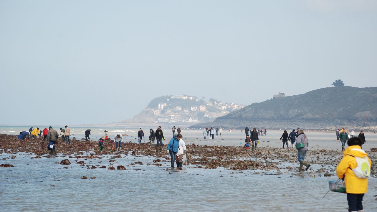 Photo of Others in Planguenoual