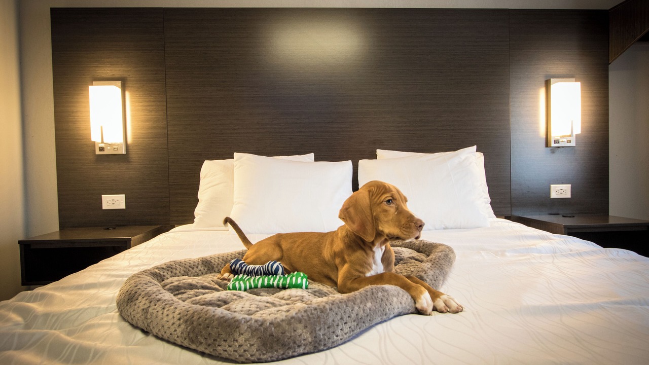 Photo of Bedroom in Henderson