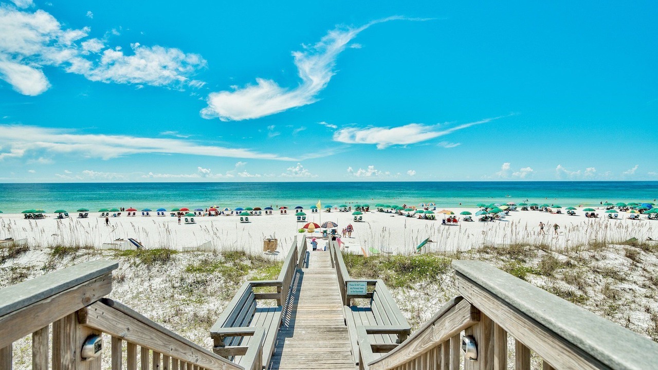Photo of Others in Avalon Beach Estates