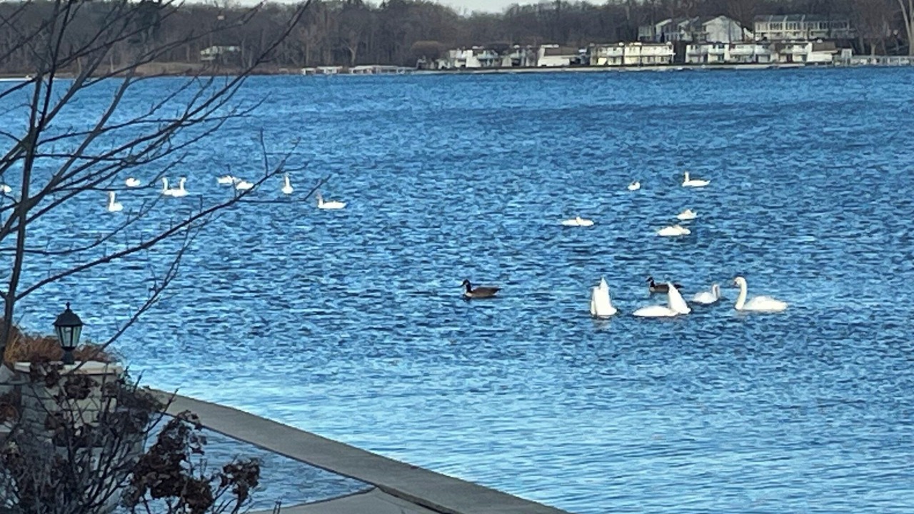Photo of Others in Syracuse