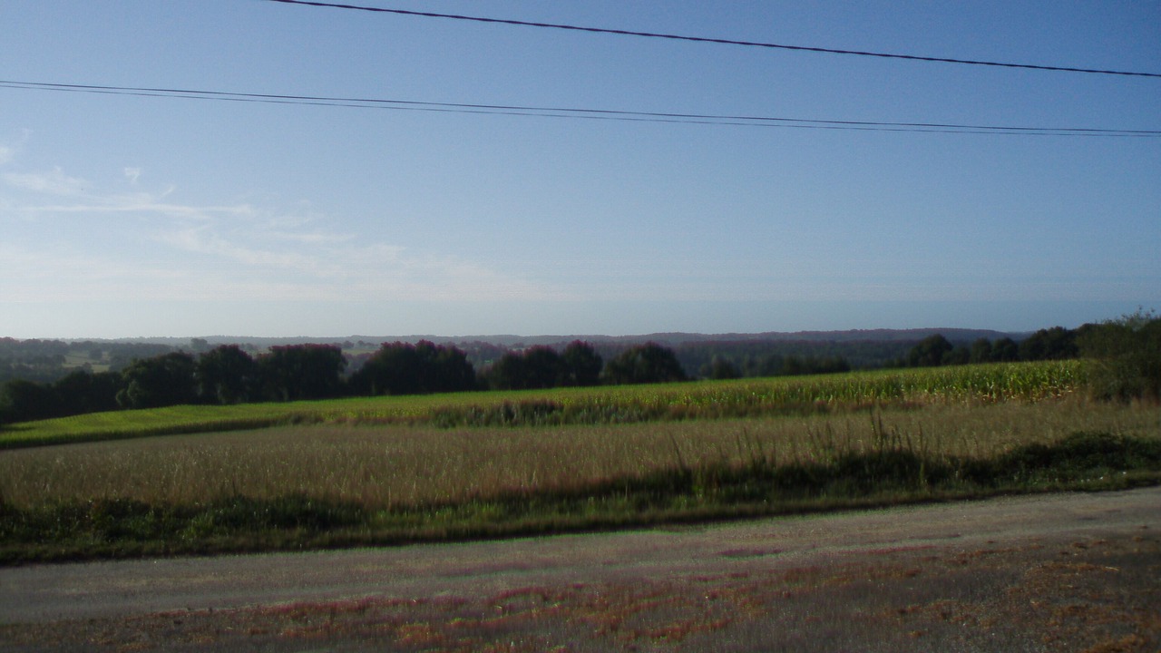 Photo of Others in Ploerdut