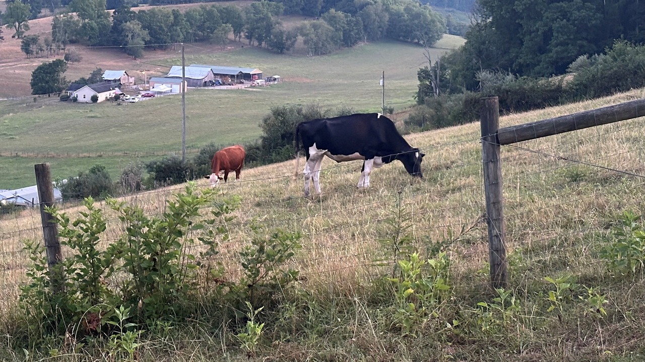 Photo of Others in Abingdon