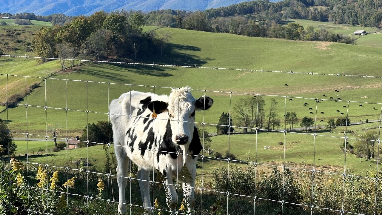 Photo of Others in Abingdon
