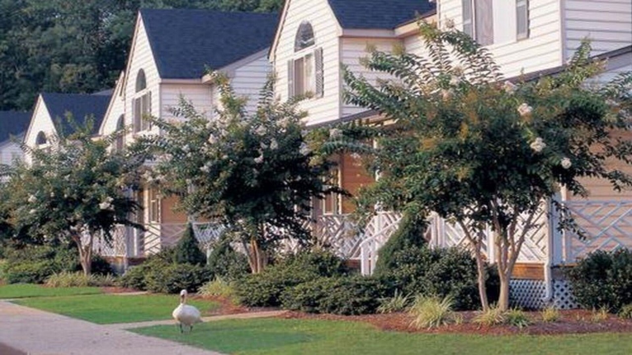 Photo of Outdoor in Berkeley