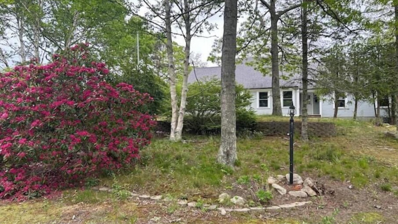 Photo of Outdoor in Cummaquid