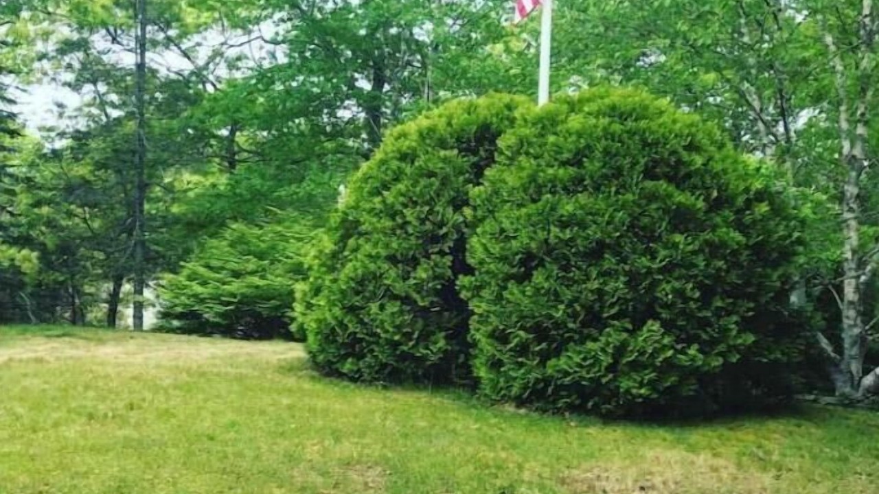 Photo of Outdoor in Cummaquid