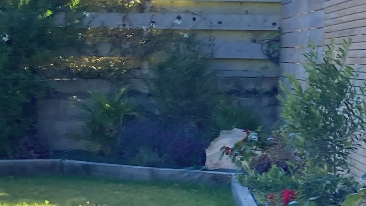 Photo of Outdoor in Loguivy