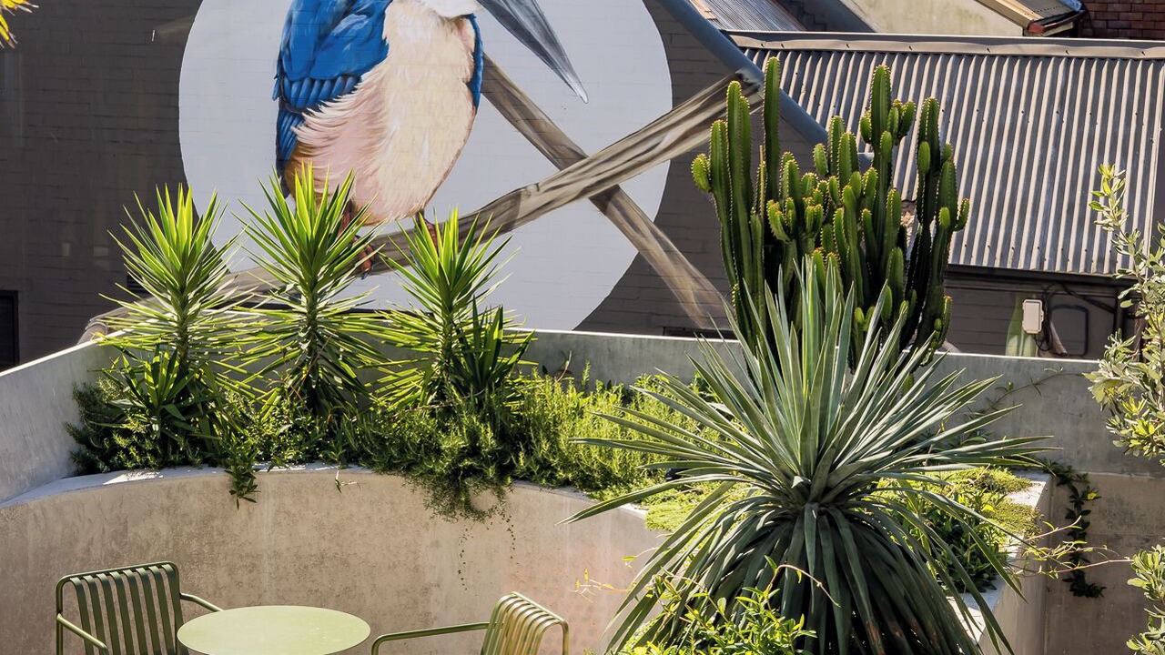 Photo of Outdoor in Camperdown