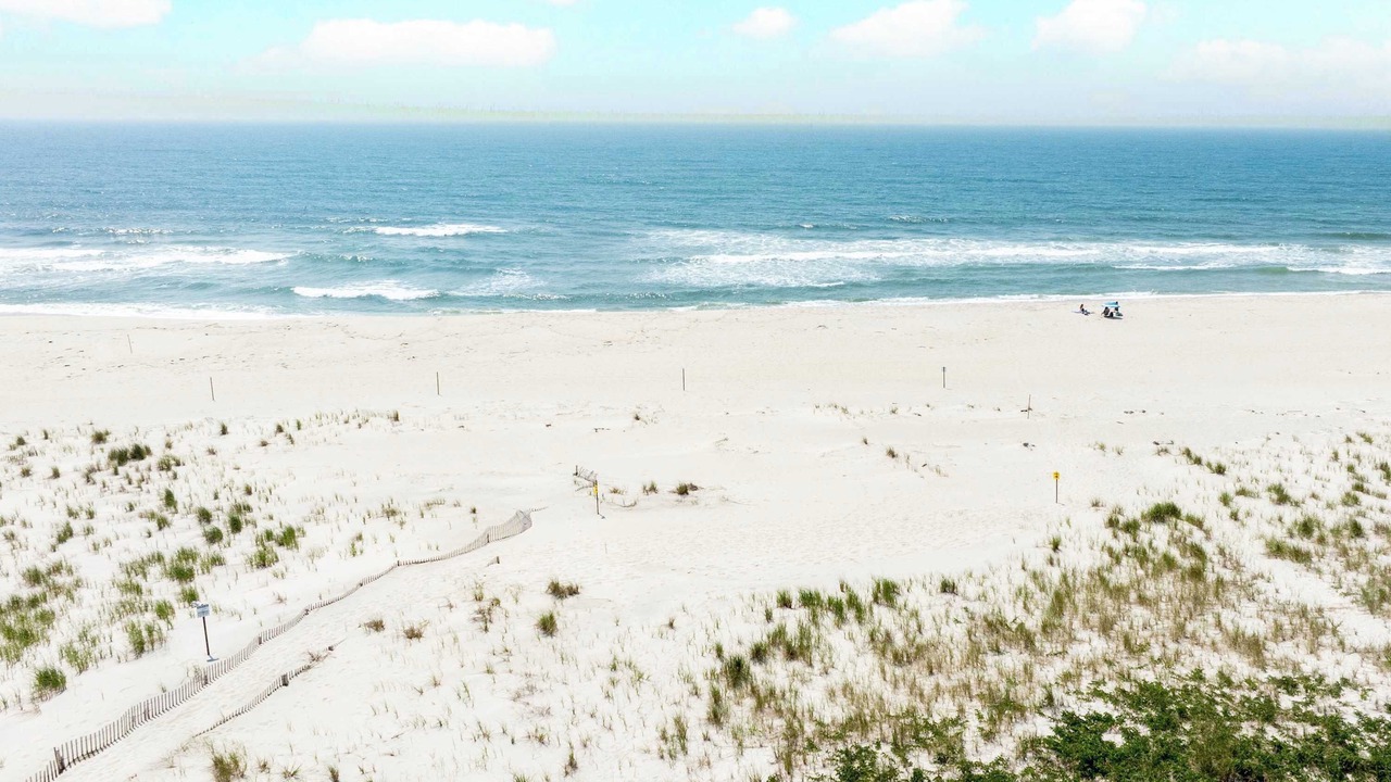 Photo of Others in West Hampton Dunes