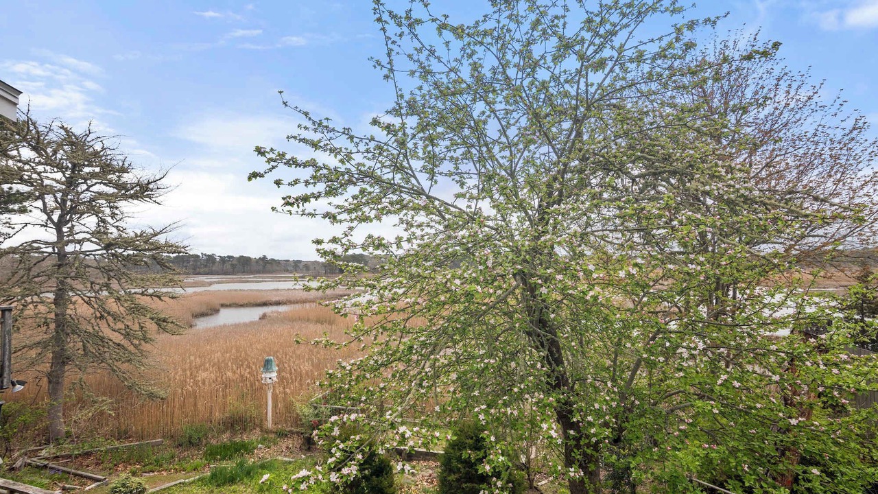 Photo of Outdoor in West Harwich