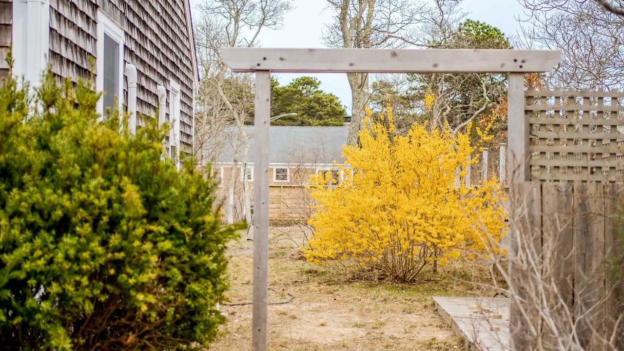 Photo of Outdoor in South Chatham