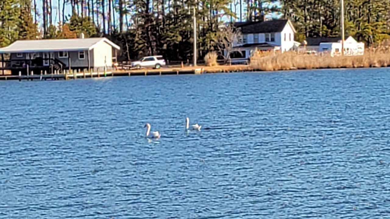 Photo of Others in Piney Point