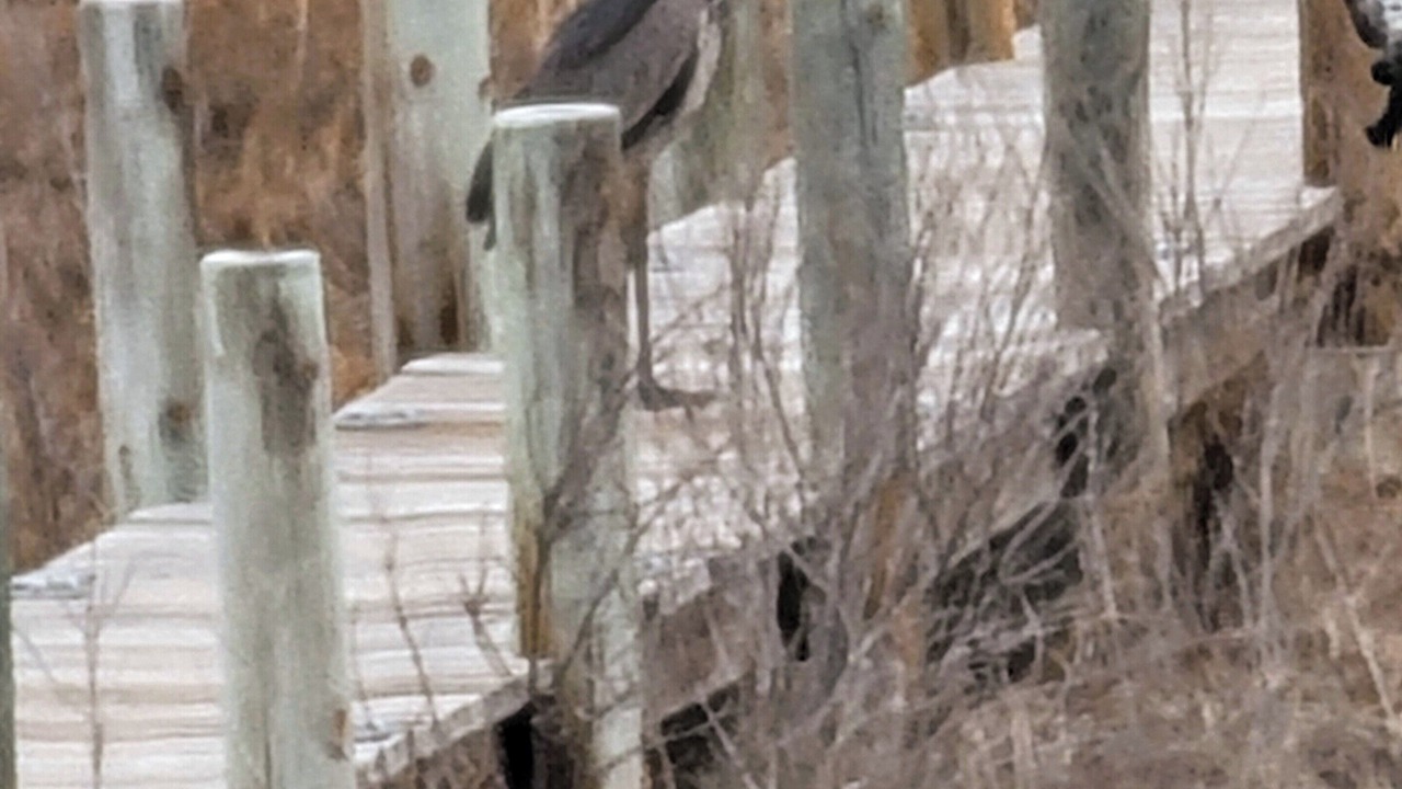 Photo of Others in Piney Point