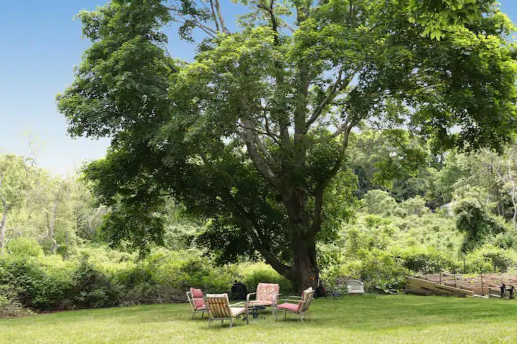 Photo of Others in West Barnstable