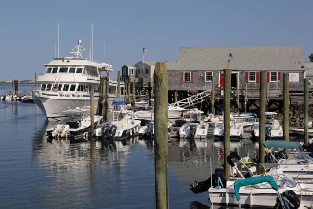 Photo of Others in West Barnstable