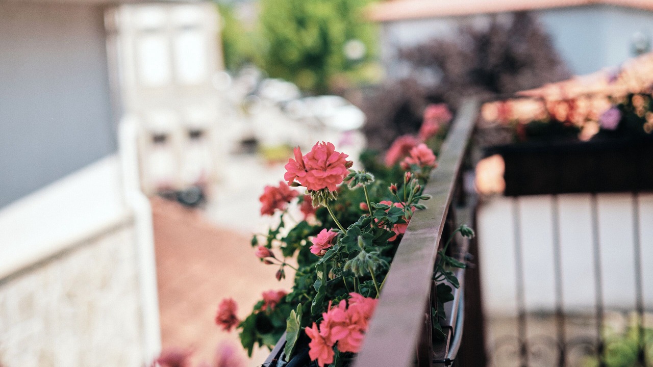 Photo of Outdoor in Ponte da Barca