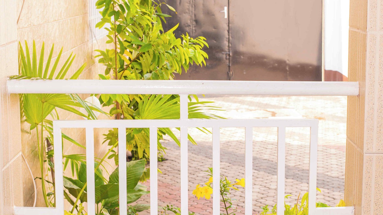 Photo of Outdoor in Brazzaville