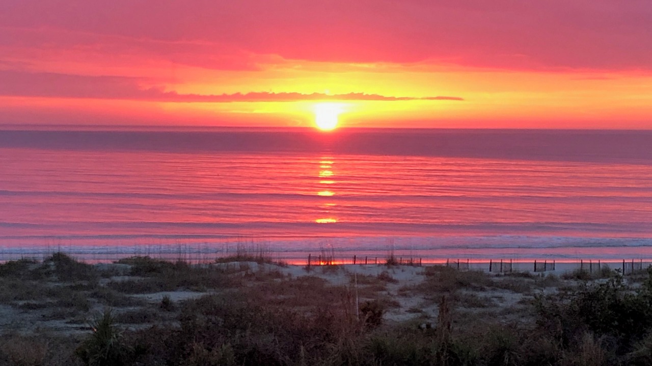 Photo of Others in Fernandina Beach