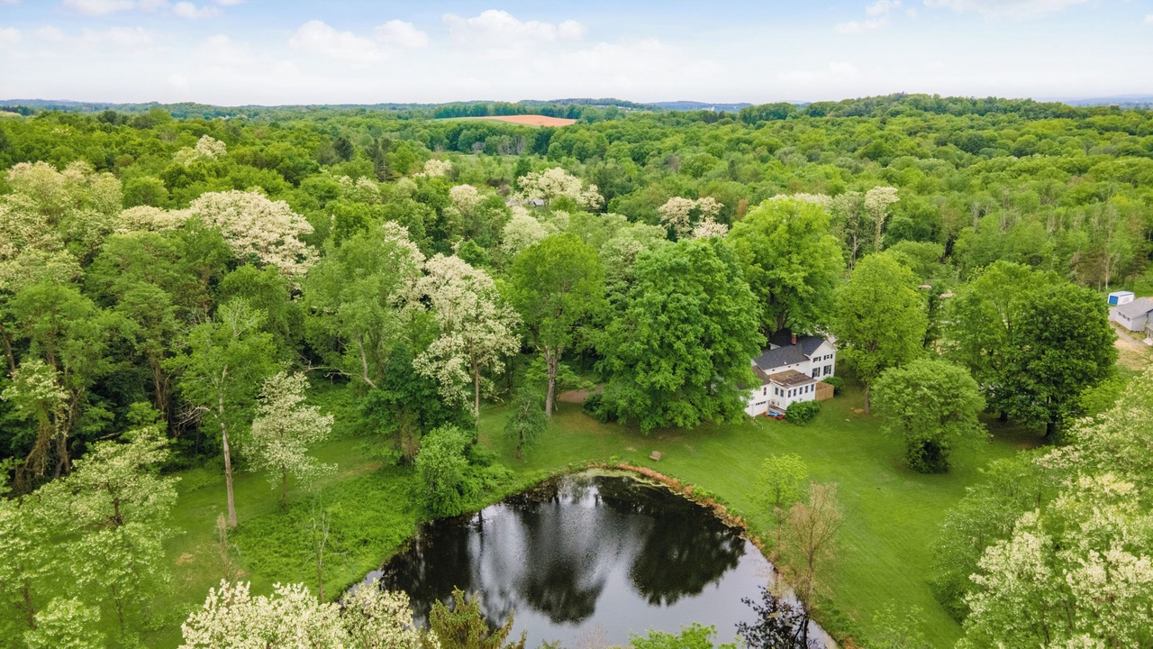Photo of Others in Hollowville