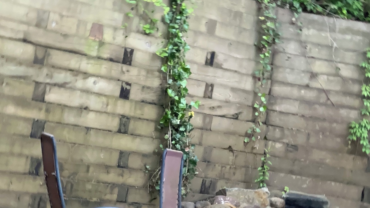 Photo of Patio Balcony in Baiting Hollow