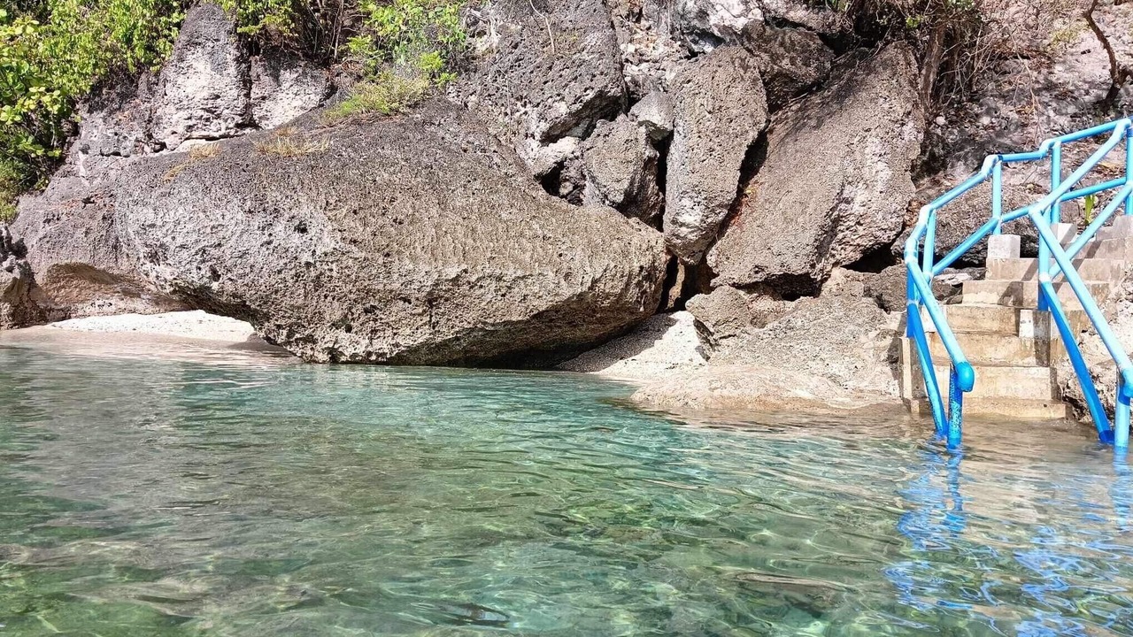 Photo of Others in Oslob