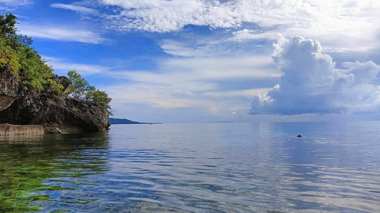 Photo of Others in Oslob