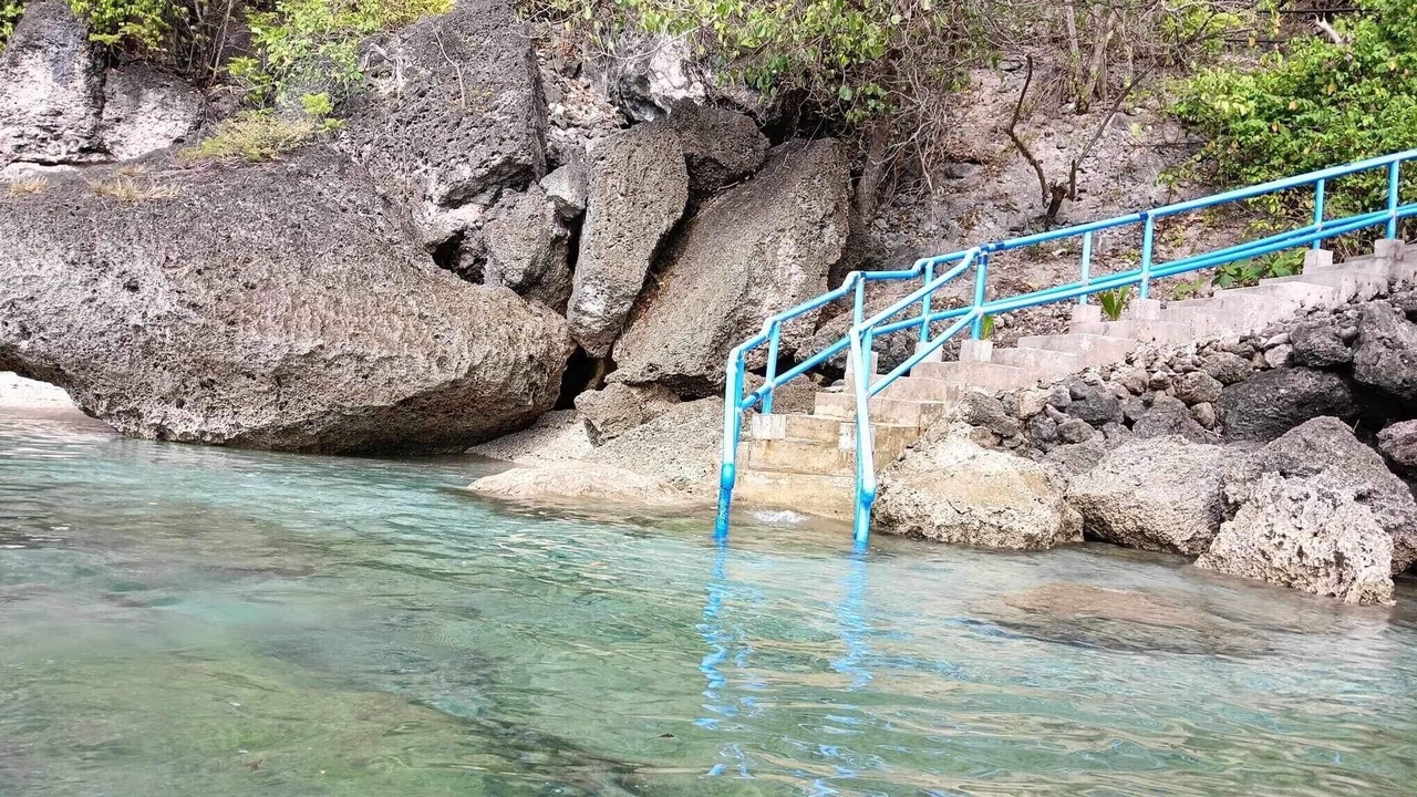 Photo of Others in Oslob