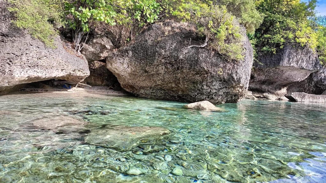 Photo of Others in Oslob