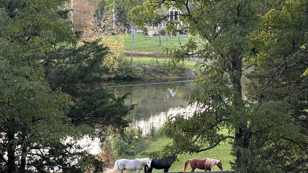 Photo of Outdoor in Union