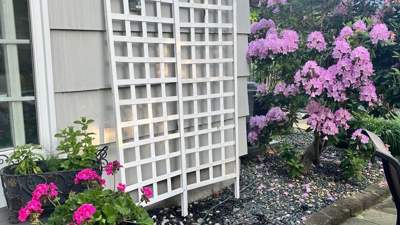 Photo of Outdoor in Wayland