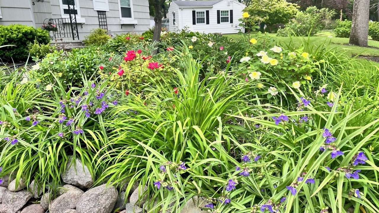 Photo of Outdoor in Wayland