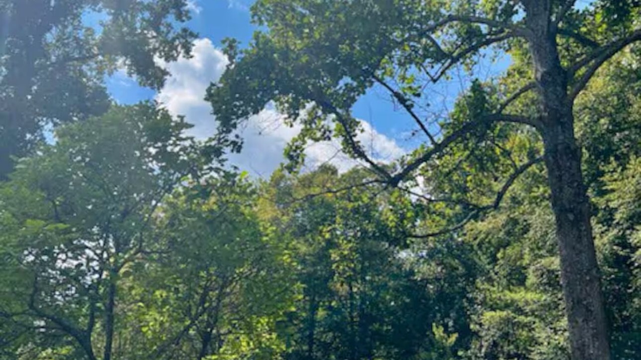 Photo of Outdoor in Stanton
