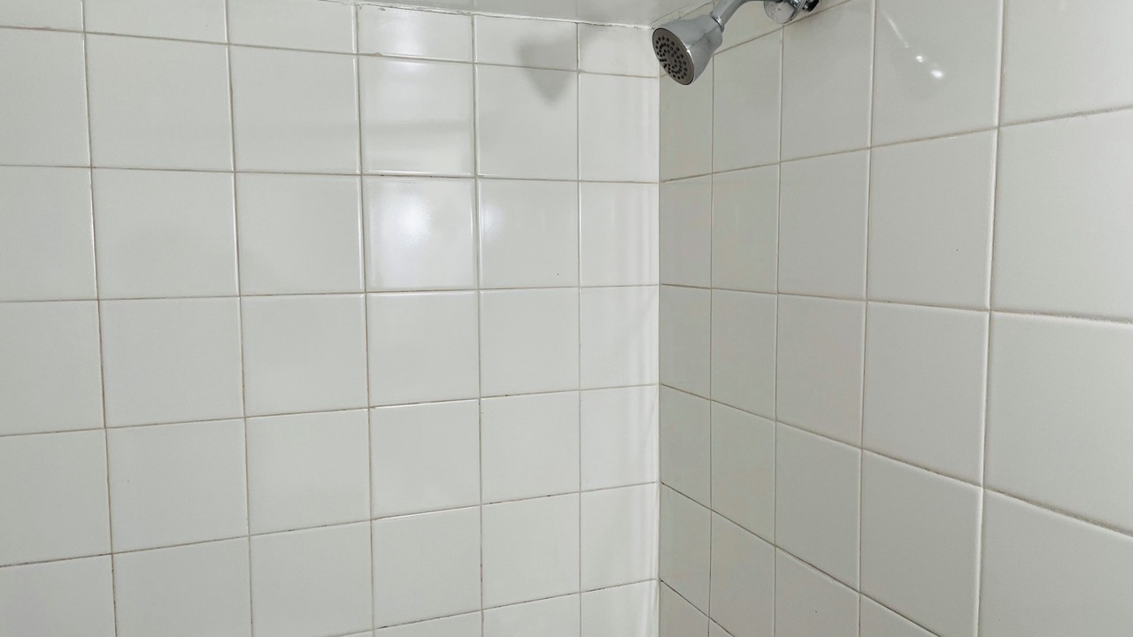 Photo of Bathroom in Throgs Neck